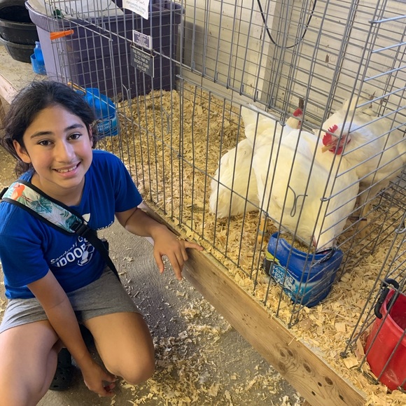 Meet your Posher, Elizabeth - Picture 3 of 11